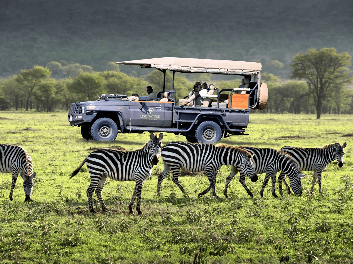 Klasik Kenya Turu - Thumbnail 4
